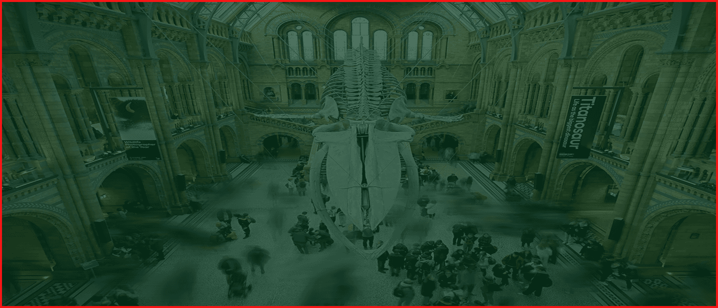 test53
